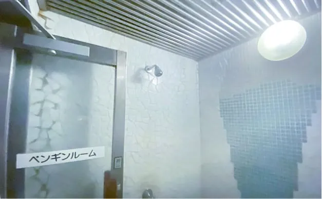 アムザ ペンギンルーム