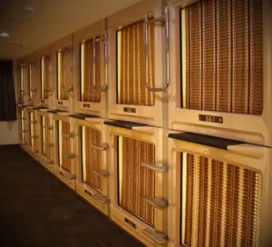 川崎ビッグ カプセル