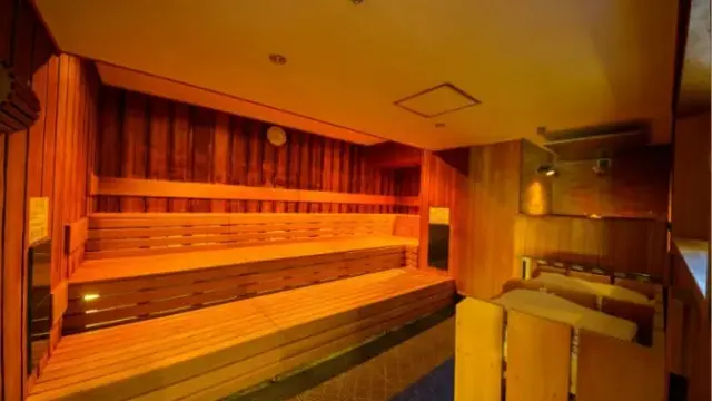 サウナ&スパ カプセルホテル 大東洋 フィンランドサウナ