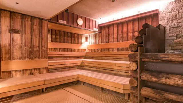 サウナ&スパ カプセルホテル 大東洋 ロッキーサウナ