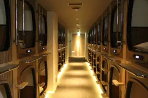 ニュージャパンEX カプセル