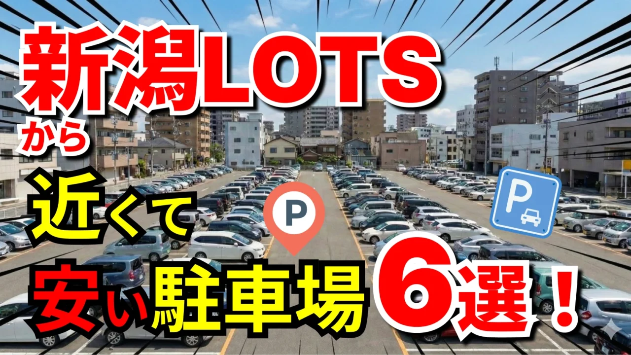 新潟LOTS